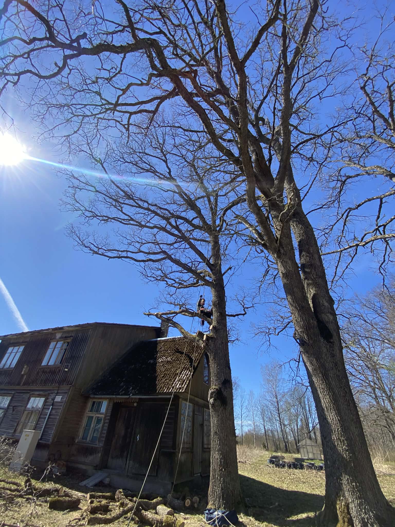 image1 (5)